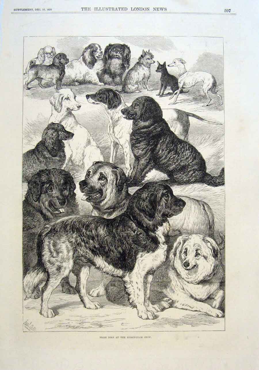 http://my-cocker.ucoz.ru/06/Prize_Dogs_Birmingham_Dog_Show_Antique_Print_1870.jpg
